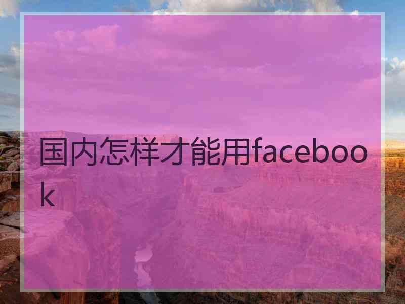 国内怎样才能用facebook