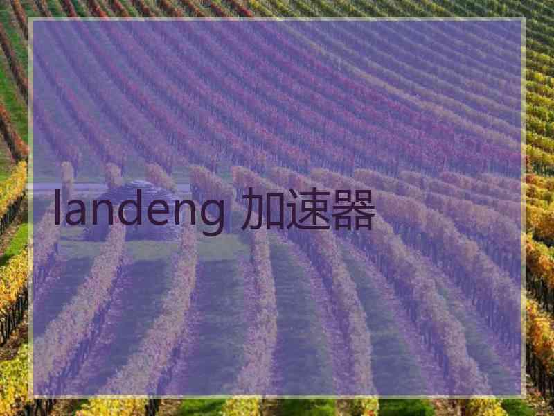 landeng 加速器