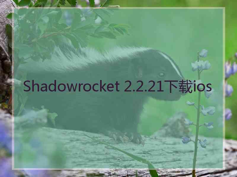 Shadowrocket 2.2.21下载ios