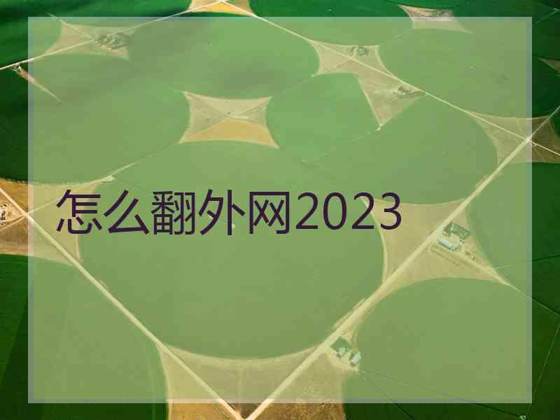 怎么翻外网2023