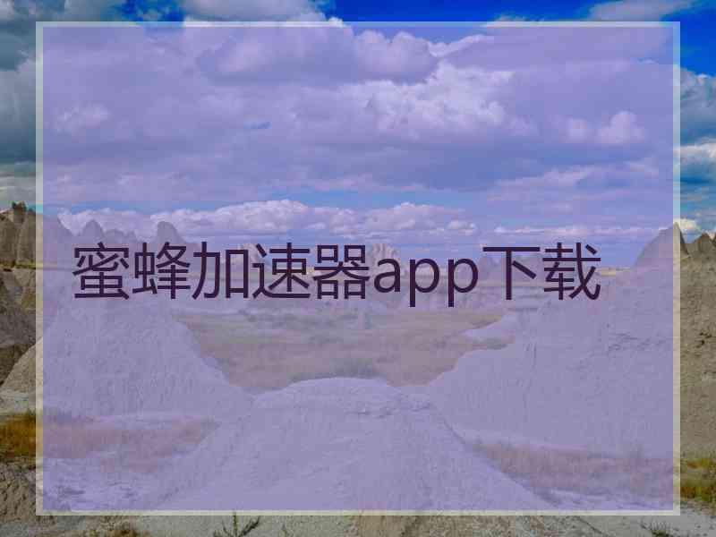 蜜蜂加速器app下载