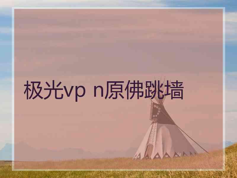 极光vp n原佛跳墙