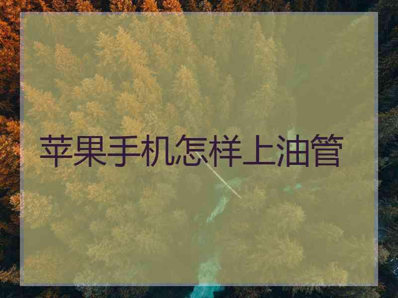 苹果手机怎样上油管