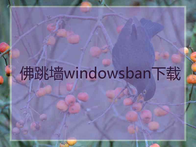 佛跳墙windowsban下载