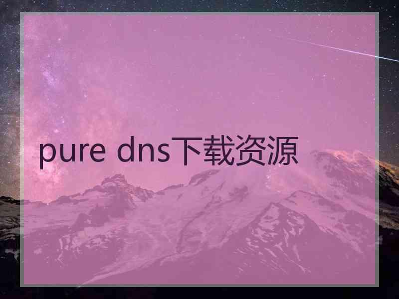 pure dns下载资源