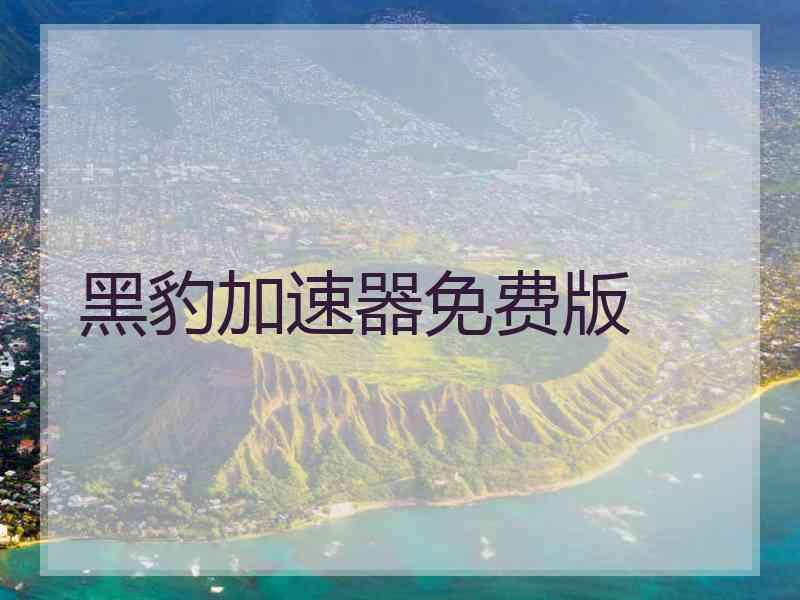 黑豹加速器免费版