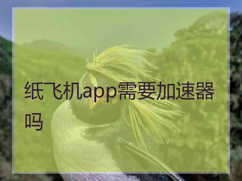 纸飞机app需要加速器吗