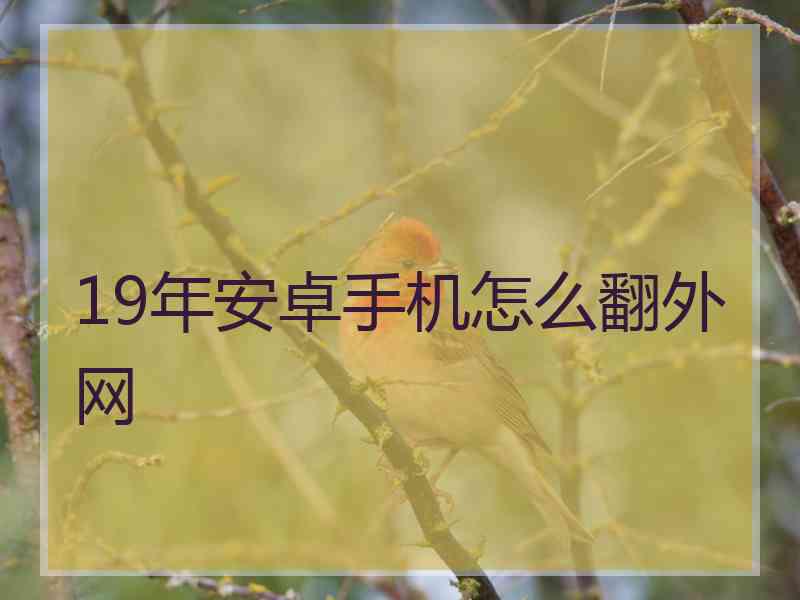 19年安卓手机怎么翻外网