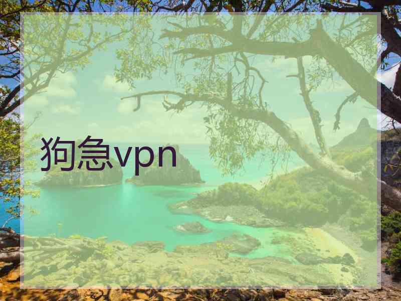 狗急vpn