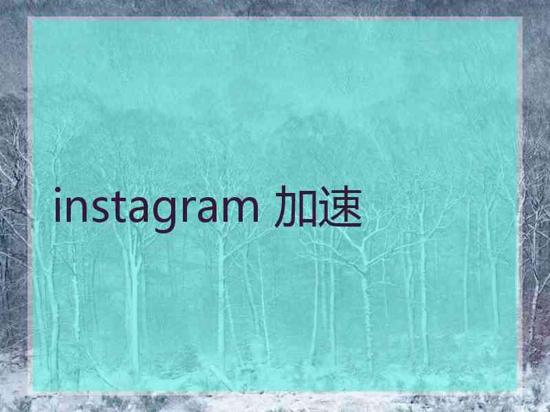 instagram 加速