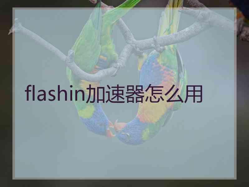 flashin加速器怎么用