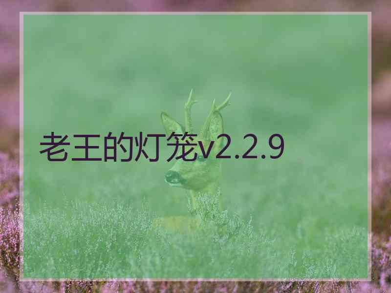 老王的灯笼v2.2.9