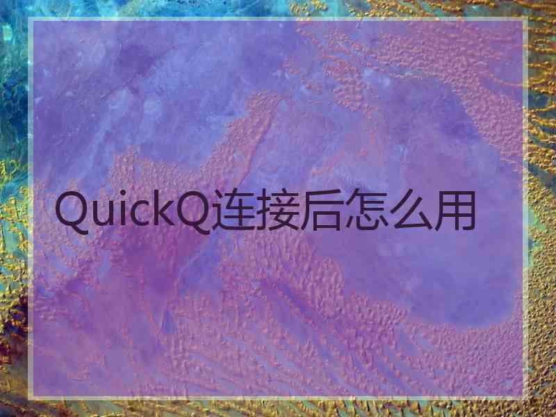 QuickQ连接后怎么用