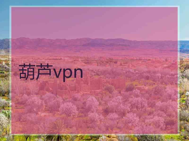 葫芦vpn