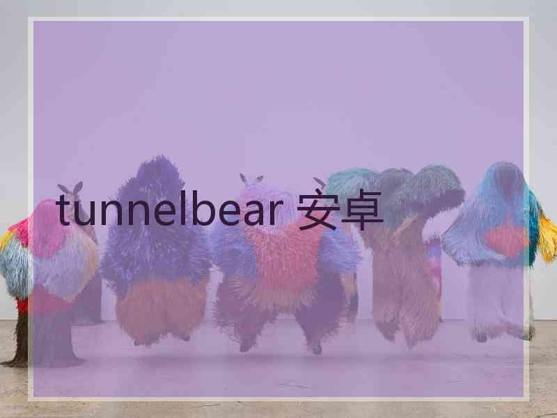 tunnelbear 安卓