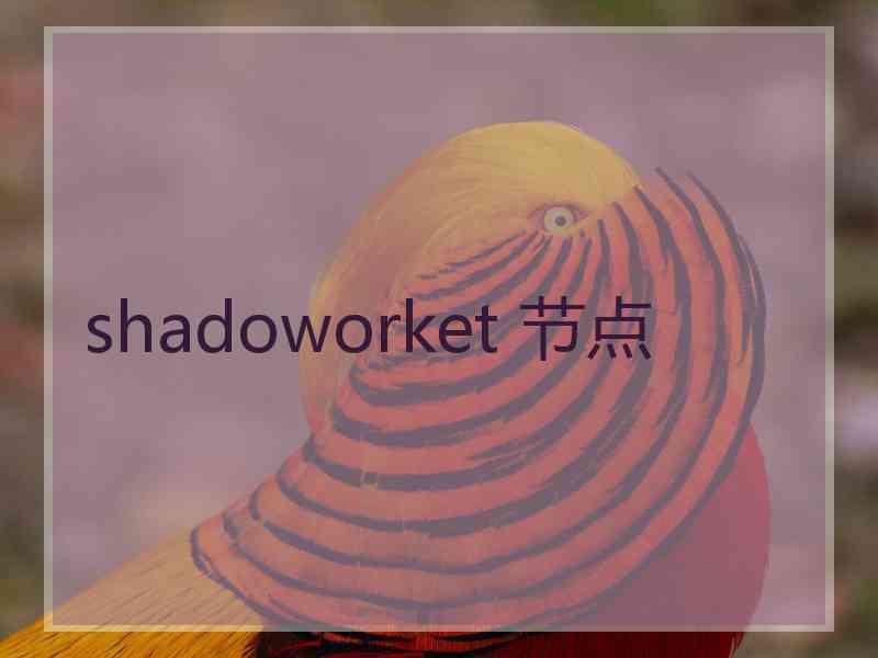 shadoworket 节点