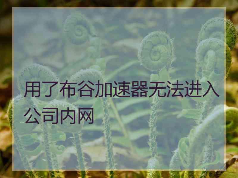 用了布谷加速器无法进入公司内网