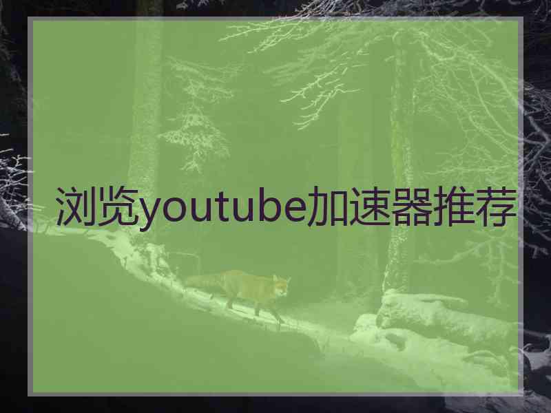 浏览youtube加速器推荐