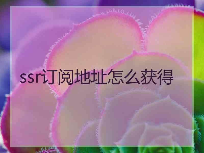 ssr订阅地址怎么获得