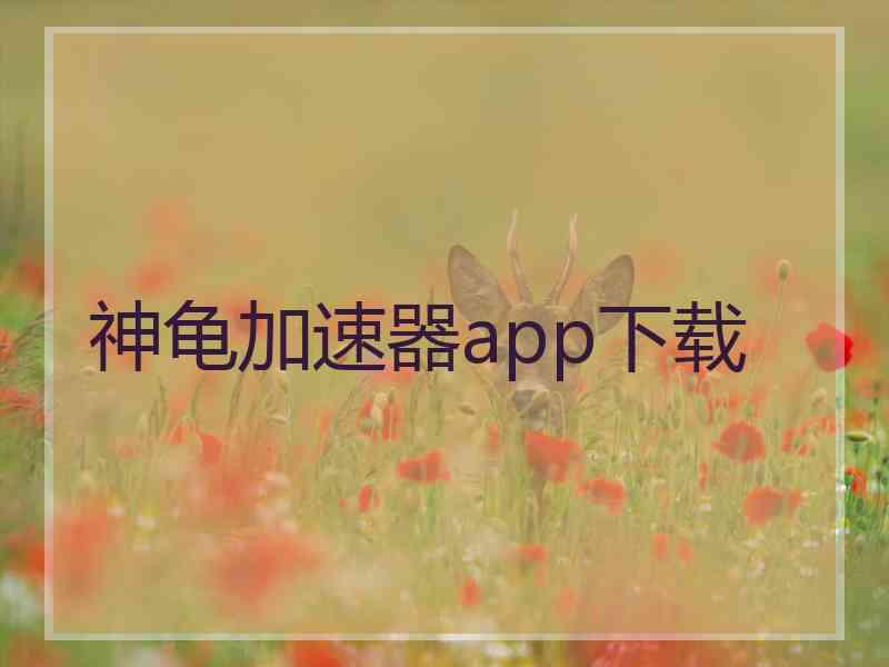 神龟加速器app下载