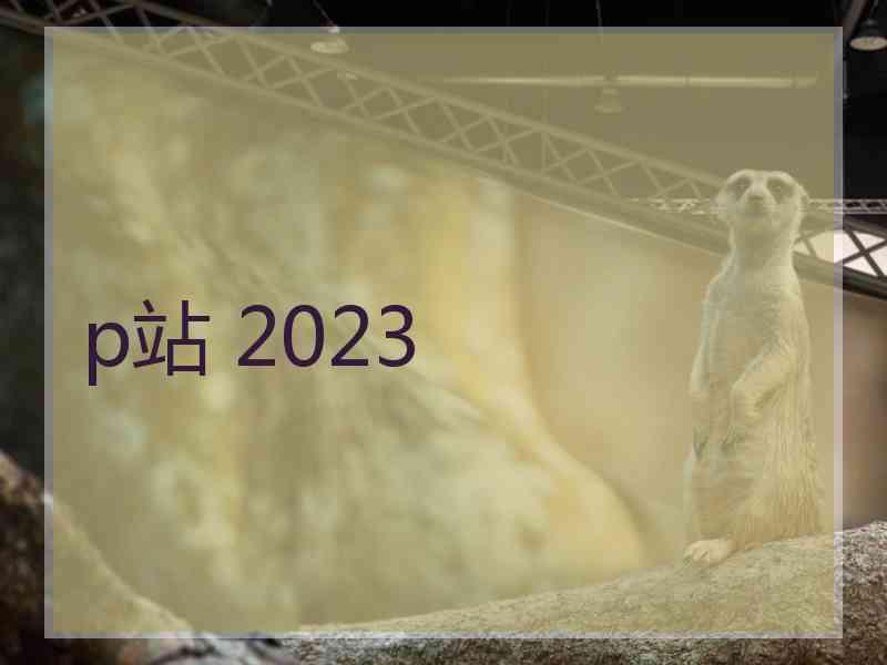 p站 2023