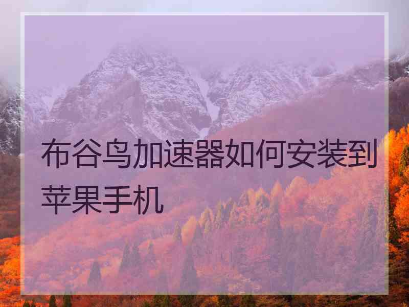 布谷鸟加速器如何安装到苹果手机