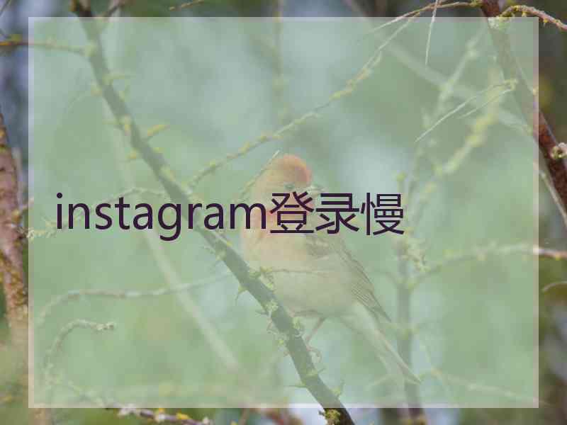 instagram登录慢