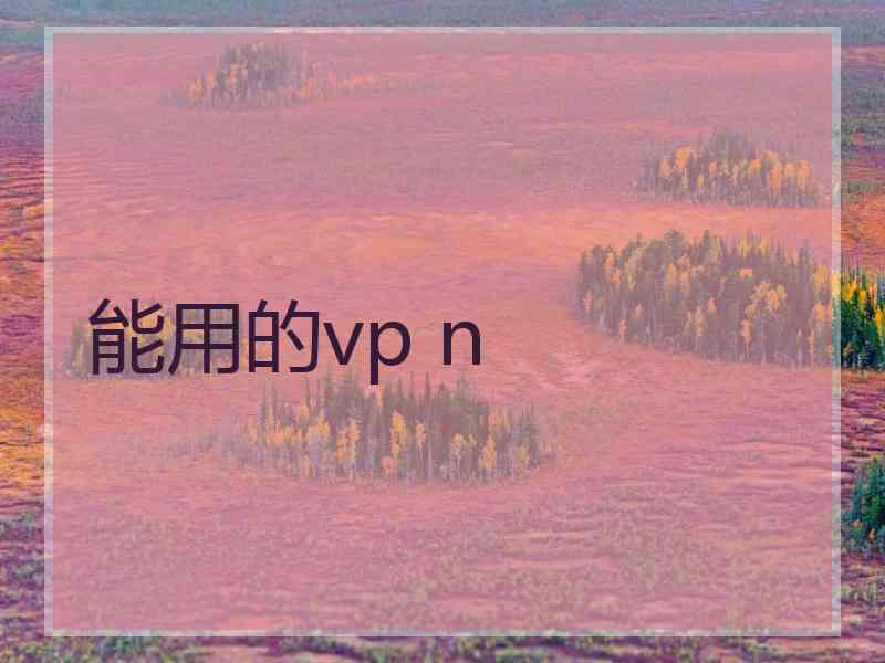 能用的vp n