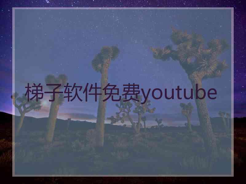 梯子软件免费youtube