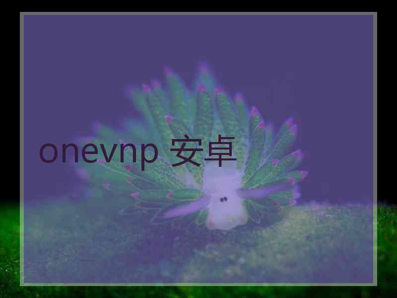 onevnp 安卓