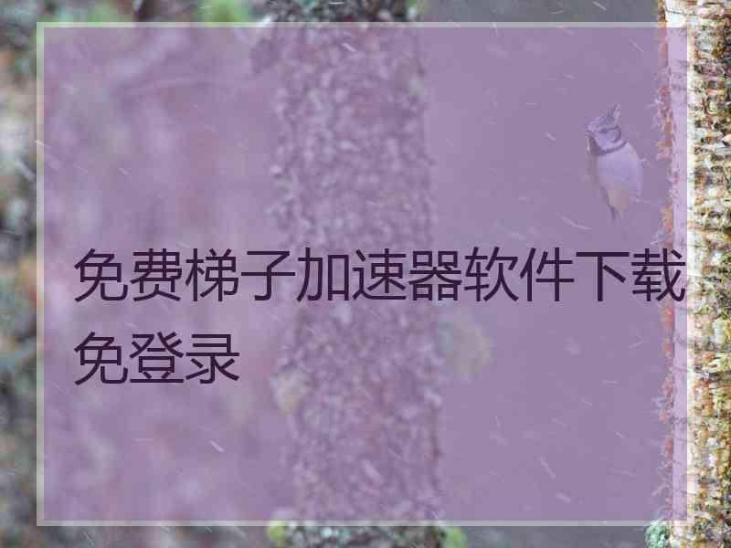 免费梯子加速器软件下载免登录