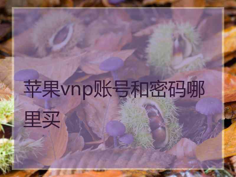 苹果vnp账号和密码哪里买