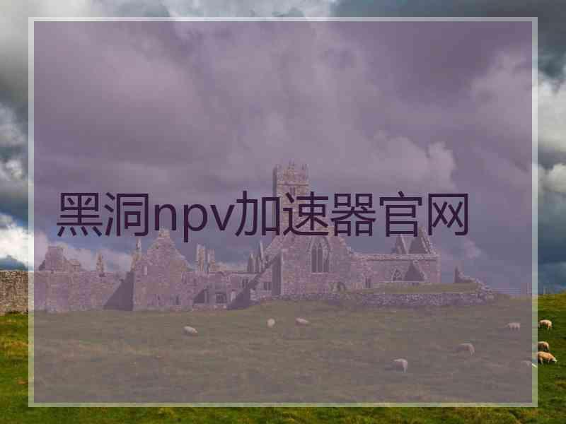 黑洞npv加速器官网