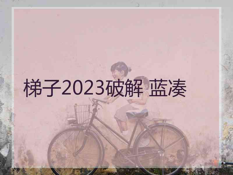 梯子2023破解 蓝凑