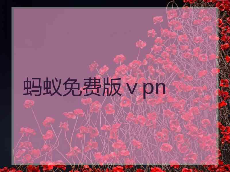 蚂蚁免费版ⅴpn