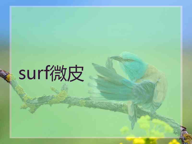 surf微皮