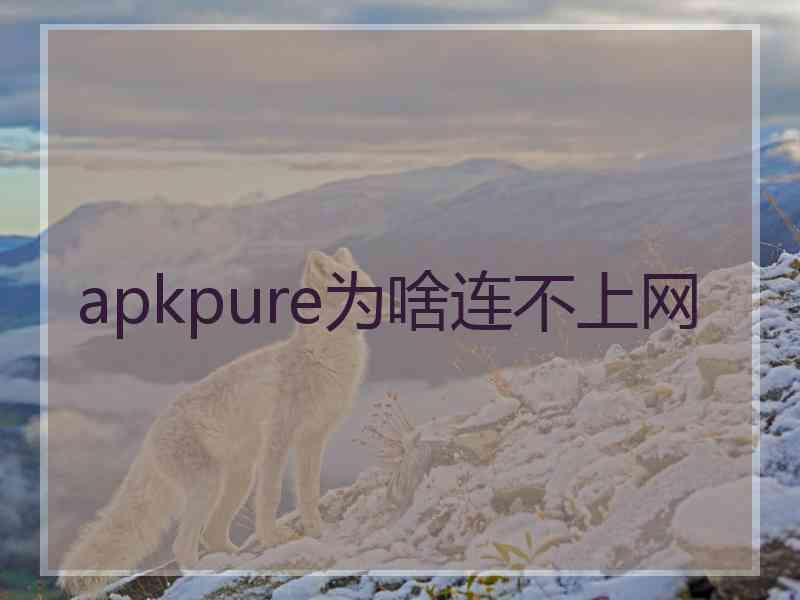 apkpure为啥连不上网