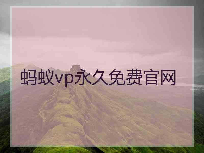 蚂蚁vp永久免费官网