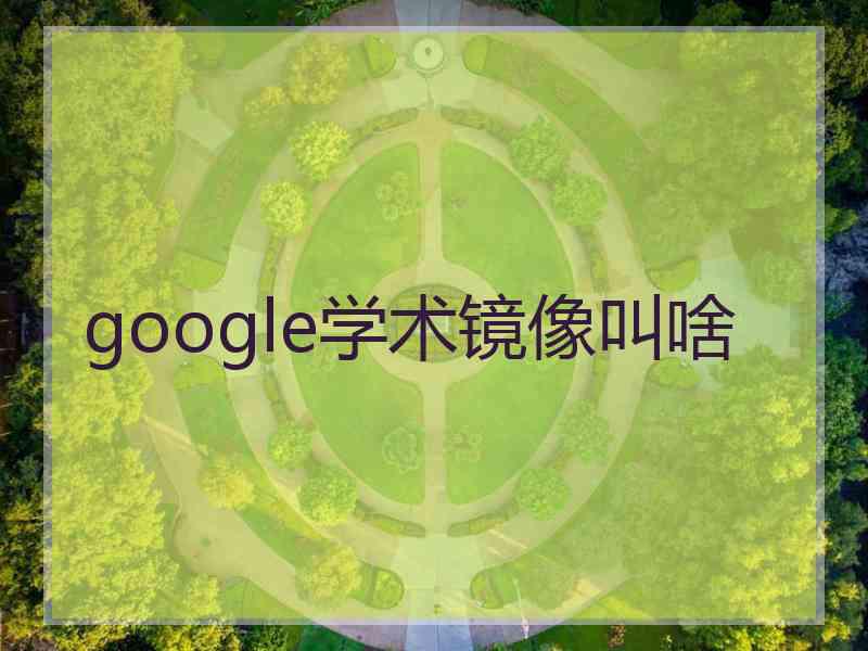 google学术镜像叫啥