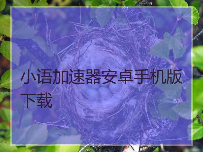 小语加速器安卓手机版下载