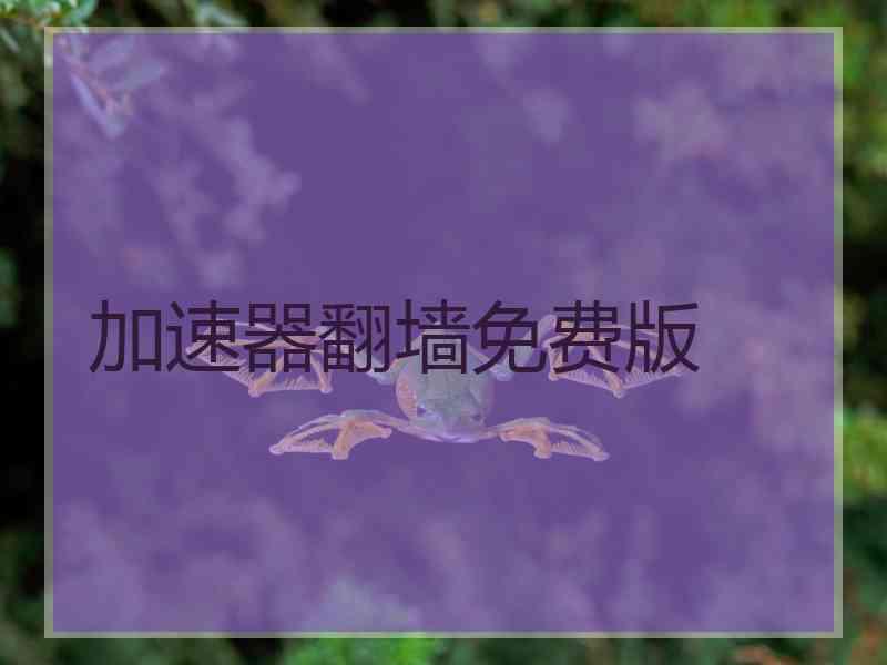 加速器翻墙免费版