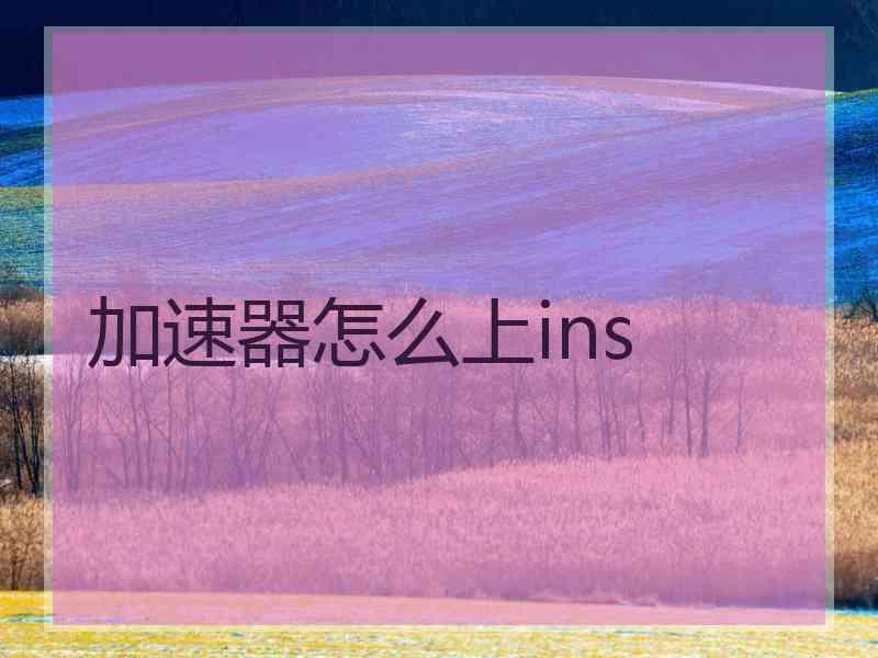 加速器怎么上ins