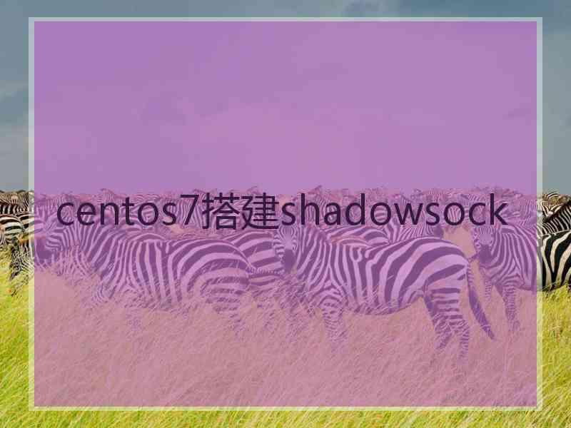 centos7搭建shadowsock