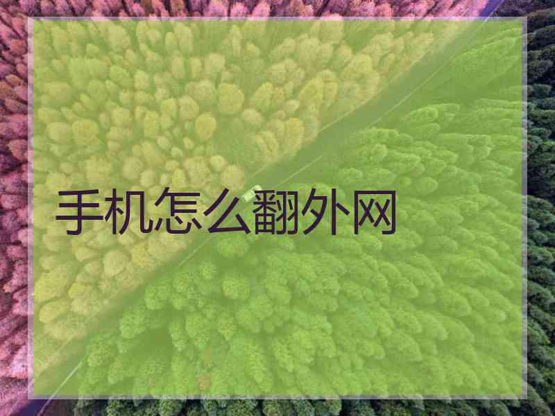 手机怎么翻外网