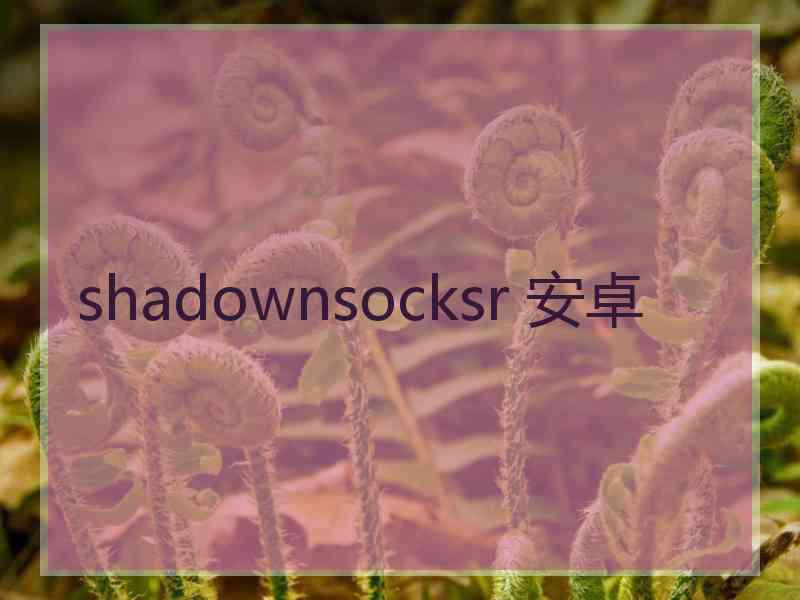 shadownsocksr 安卓