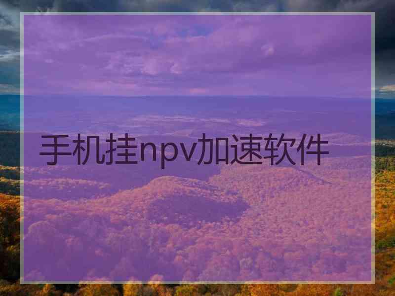 手机挂npv加速软件