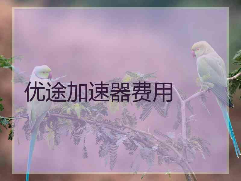 优途加速器费用