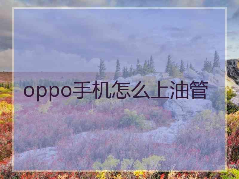 oppo手机怎么上油管