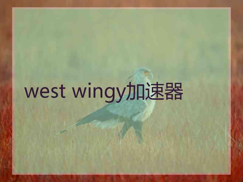 west wingy加速器