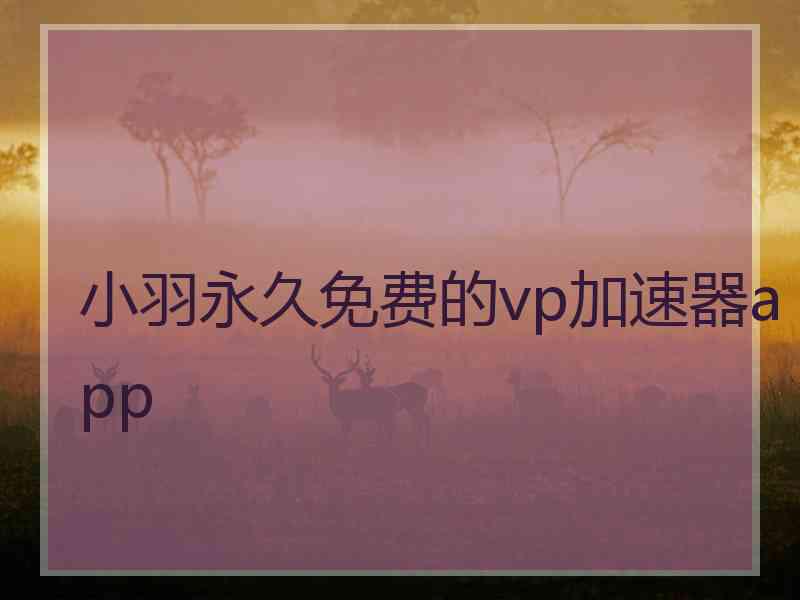 小羽永久免费的vp加速器app